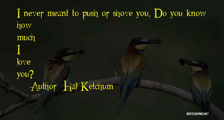 Hal Ketchum Quotes: I Never Meant To Push Or Shove You. Do You Know How Much I Love You?