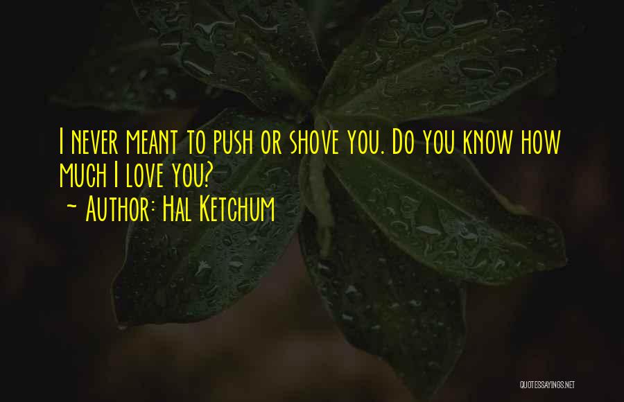Hal Ketchum Quotes: I Never Meant To Push Or Shove You. Do You Know How Much I Love You?