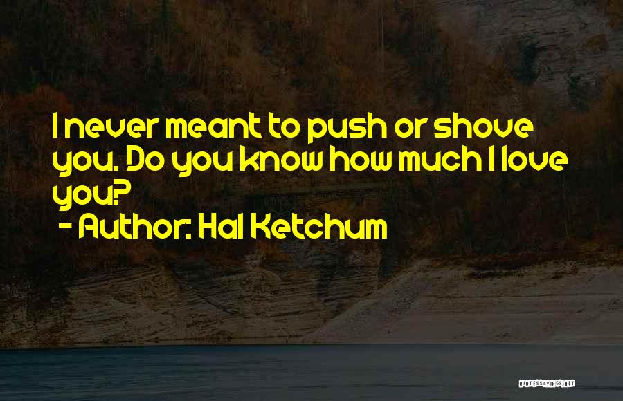 Hal Ketchum Quotes: I Never Meant To Push Or Shove You. Do You Know How Much I Love You?
