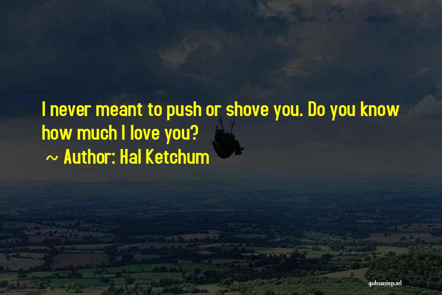 Hal Ketchum Quotes: I Never Meant To Push Or Shove You. Do You Know How Much I Love You?