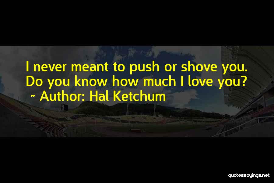 Hal Ketchum Quotes: I Never Meant To Push Or Shove You. Do You Know How Much I Love You?