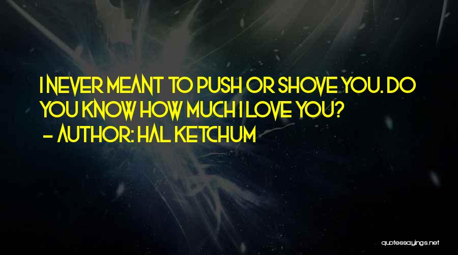 Hal Ketchum Quotes: I Never Meant To Push Or Shove You. Do You Know How Much I Love You?