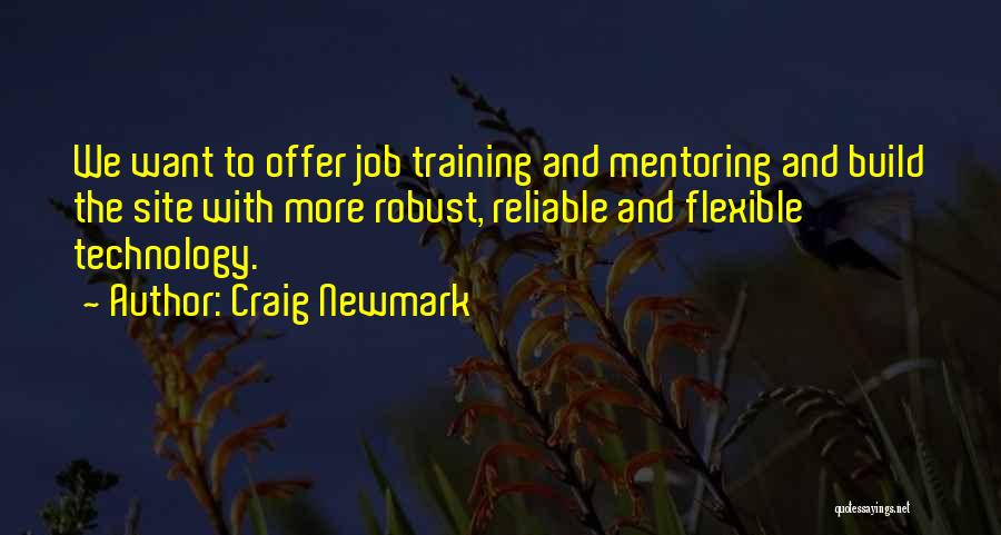 Craig Newmark Quotes: We Want To Offer Job Training And Mentoring And Build The Site With More Robust, Reliable And Flexible Technology.