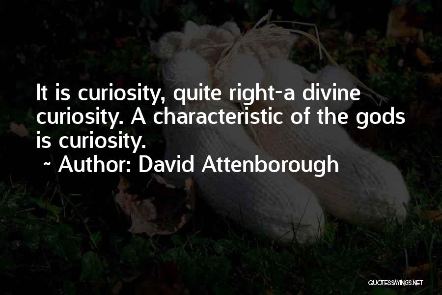 David Attenborough Quotes: It Is Curiosity, Quite Right-a Divine Curiosity. A Characteristic Of The Gods Is Curiosity.