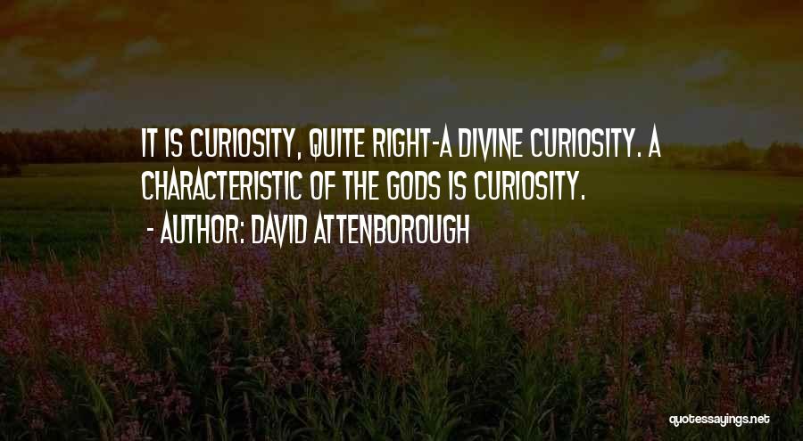 David Attenborough Quotes: It Is Curiosity, Quite Right-a Divine Curiosity. A Characteristic Of The Gods Is Curiosity.