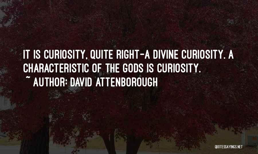 David Attenborough Quotes: It Is Curiosity, Quite Right-a Divine Curiosity. A Characteristic Of The Gods Is Curiosity.