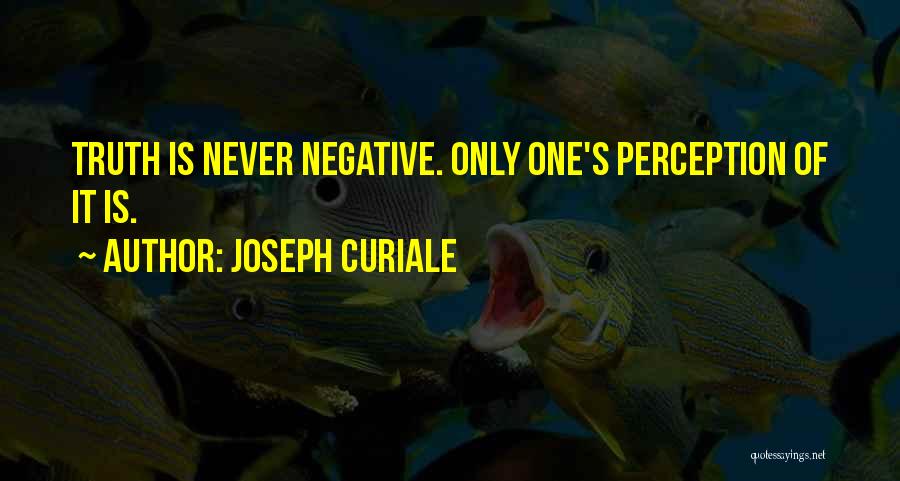 Joseph Curiale Quotes: Truth Is Never Negative. Only One's Perception Of It Is.