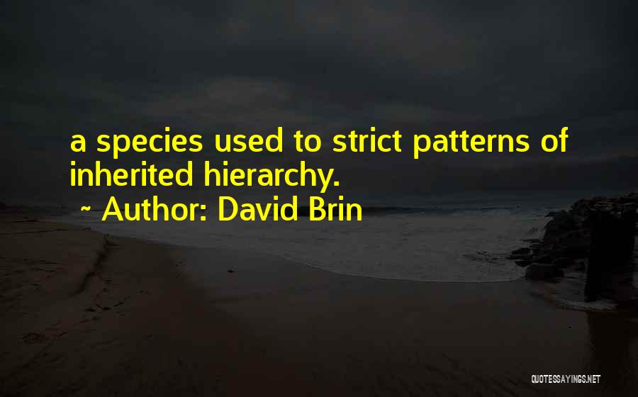 David Brin Quotes: A Species Used To Strict Patterns Of Inherited Hierarchy.