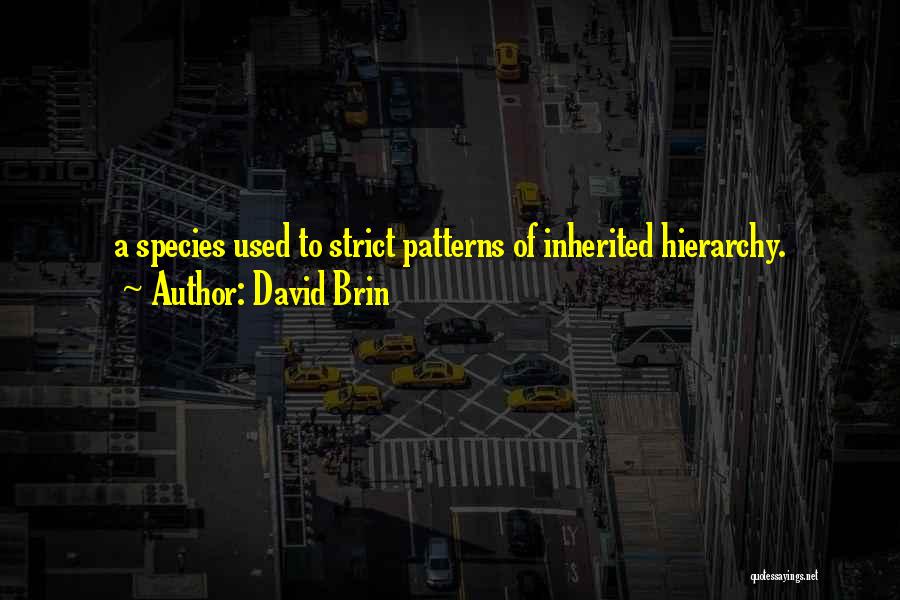 David Brin Quotes: A Species Used To Strict Patterns Of Inherited Hierarchy.