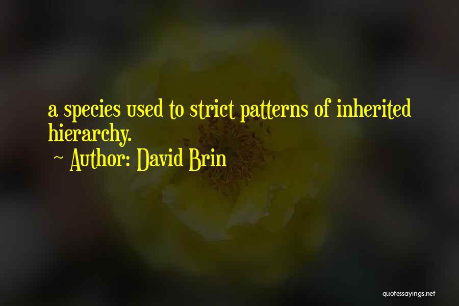 David Brin Quotes: A Species Used To Strict Patterns Of Inherited Hierarchy.