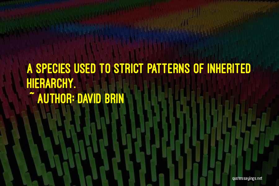 David Brin Quotes: A Species Used To Strict Patterns Of Inherited Hierarchy.