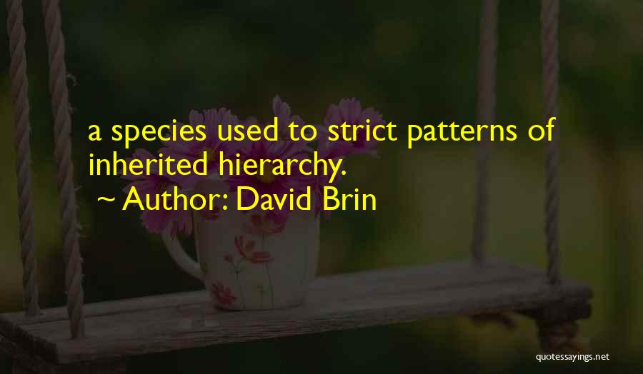 David Brin Quotes: A Species Used To Strict Patterns Of Inherited Hierarchy.