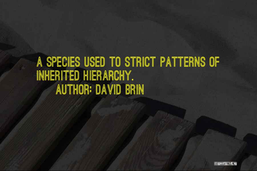 David Brin Quotes: A Species Used To Strict Patterns Of Inherited Hierarchy.