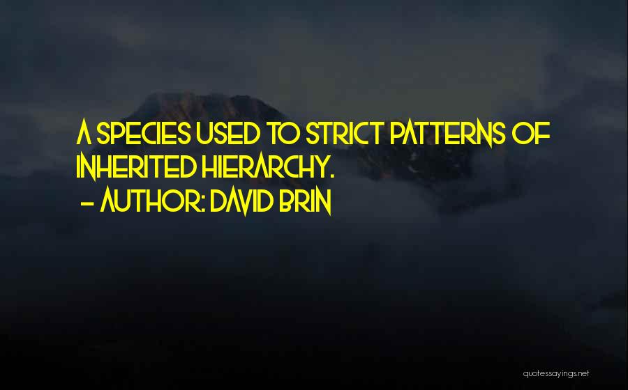 David Brin Quotes: A Species Used To Strict Patterns Of Inherited Hierarchy.