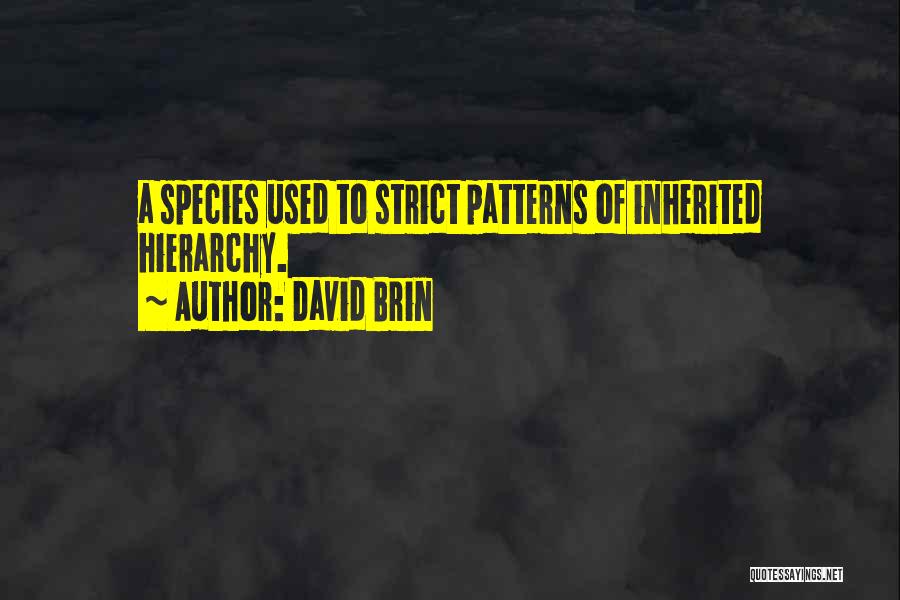 David Brin Quotes: A Species Used To Strict Patterns Of Inherited Hierarchy.