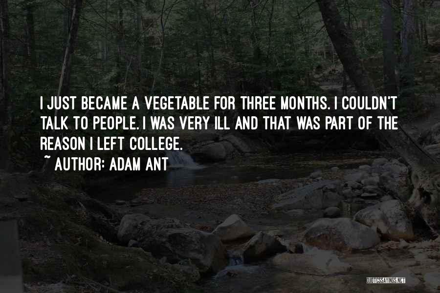 Adam Ant Quotes: I Just Became A Vegetable For Three Months. I Couldn't Talk To People. I Was Very Ill And That Was