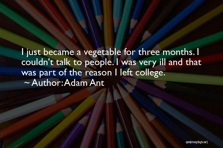 Adam Ant Quotes: I Just Became A Vegetable For Three Months. I Couldn't Talk To People. I Was Very Ill And That Was
