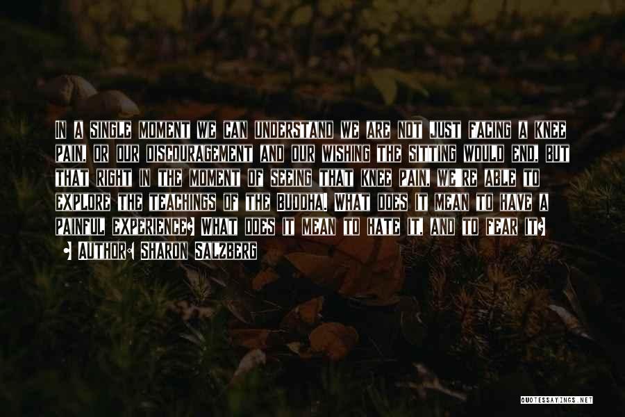 Sharon Salzberg Quotes: In A Single Moment We Can Understand We Are Not Just Facing A Knee Pain, Or Our Discouragement And Our