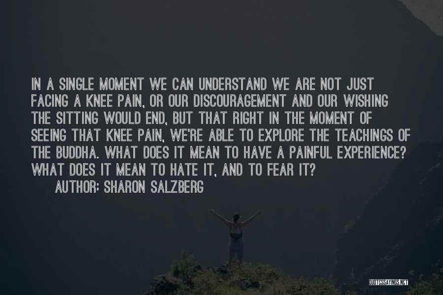 Sharon Salzberg Quotes: In A Single Moment We Can Understand We Are Not Just Facing A Knee Pain, Or Our Discouragement And Our