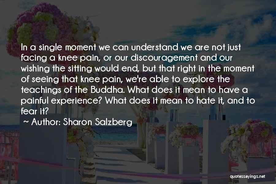 Sharon Salzberg Quotes: In A Single Moment We Can Understand We Are Not Just Facing A Knee Pain, Or Our Discouragement And Our