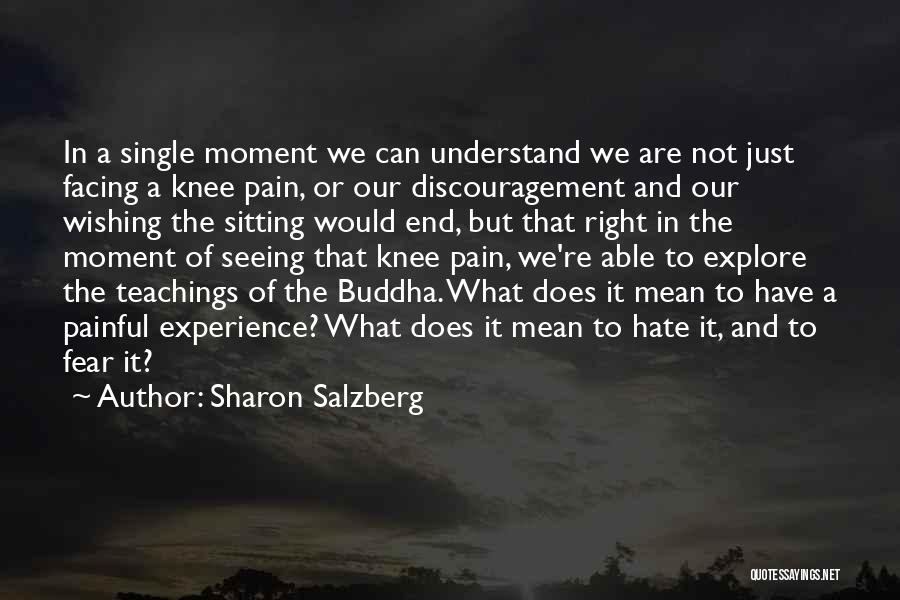 Sharon Salzberg Quotes: In A Single Moment We Can Understand We Are Not Just Facing A Knee Pain, Or Our Discouragement And Our