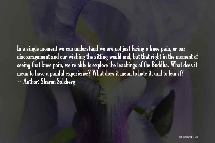 Sharon Salzberg Quotes: In A Single Moment We Can Understand We Are Not Just Facing A Knee Pain, Or Our Discouragement And Our