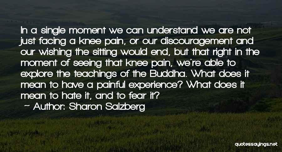 Sharon Salzberg Quotes: In A Single Moment We Can Understand We Are Not Just Facing A Knee Pain, Or Our Discouragement And Our