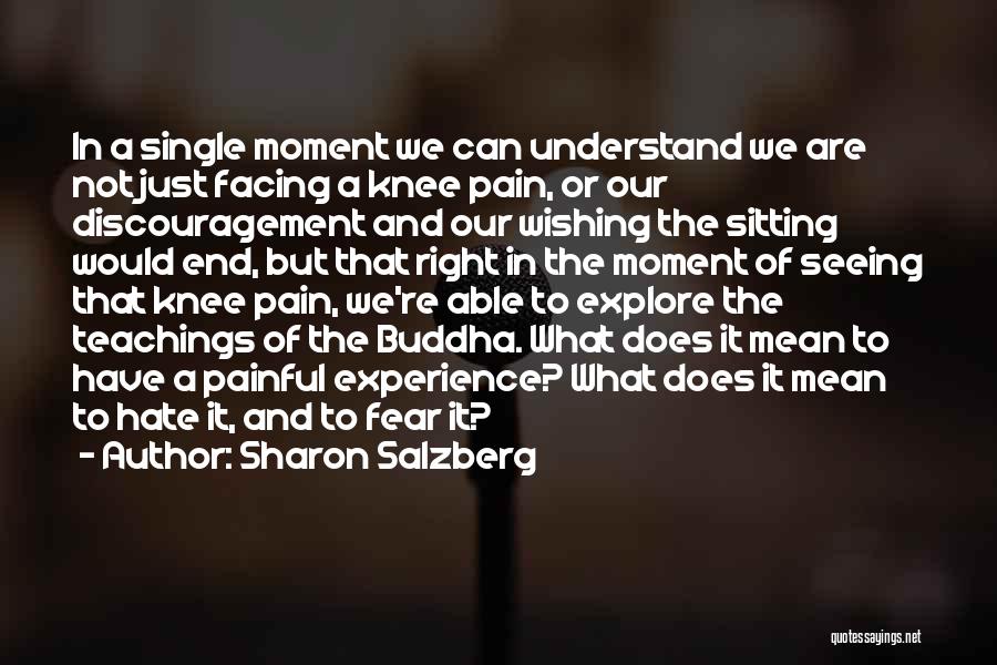 Sharon Salzberg Quotes: In A Single Moment We Can Understand We Are Not Just Facing A Knee Pain, Or Our Discouragement And Our