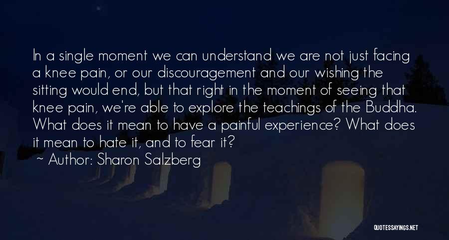 Sharon Salzberg Quotes: In A Single Moment We Can Understand We Are Not Just Facing A Knee Pain, Or Our Discouragement And Our