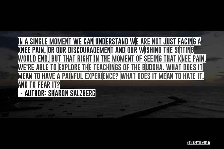 Sharon Salzberg Quotes: In A Single Moment We Can Understand We Are Not Just Facing A Knee Pain, Or Our Discouragement And Our