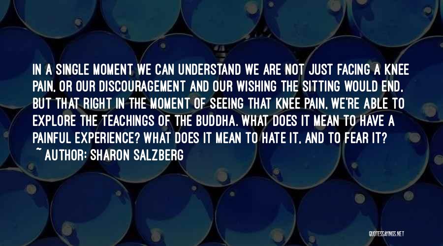 Sharon Salzberg Quotes: In A Single Moment We Can Understand We Are Not Just Facing A Knee Pain, Or Our Discouragement And Our