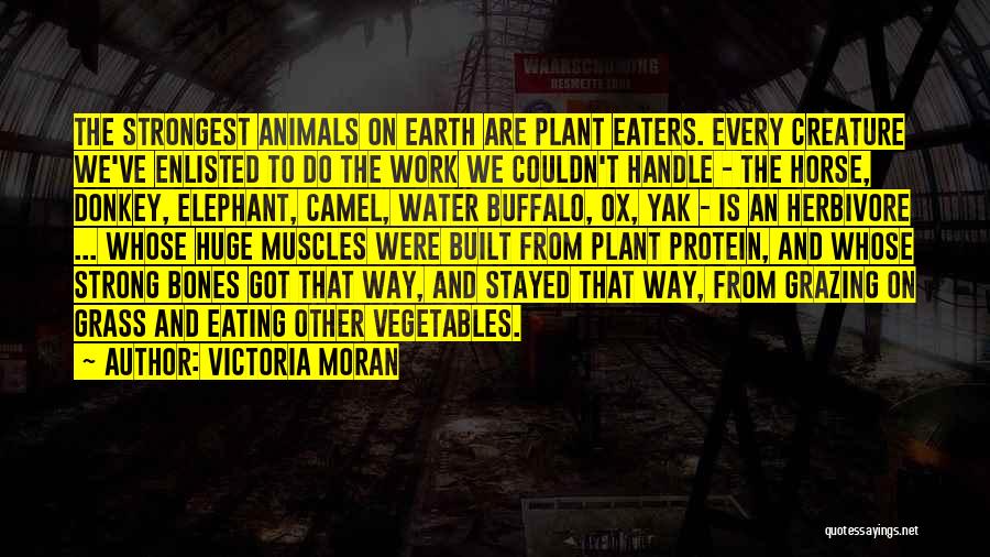 Victoria Moran Quotes: The Strongest Animals On Earth Are Plant Eaters. Every Creature We've Enlisted To Do The Work We Couldn't Handle -