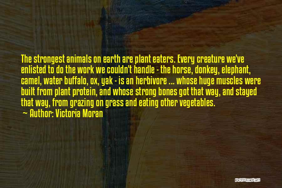 Victoria Moran Quotes: The Strongest Animals On Earth Are Plant Eaters. Every Creature We've Enlisted To Do The Work We Couldn't Handle -