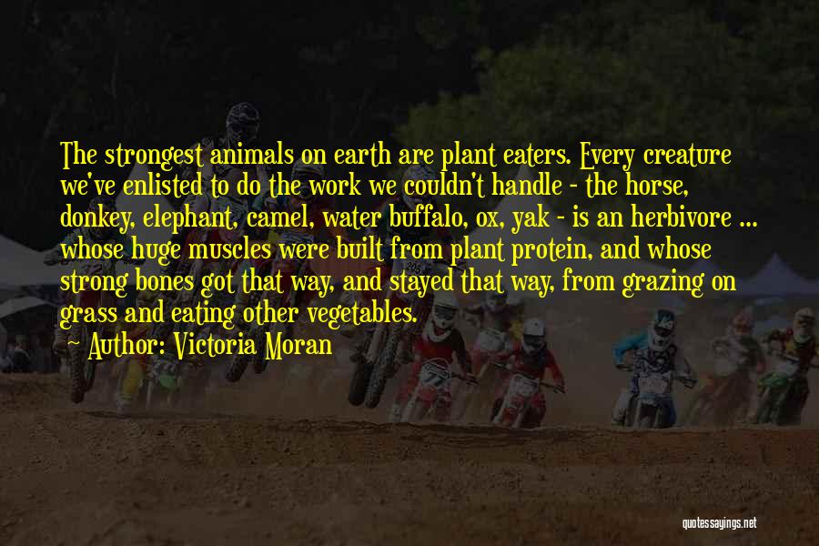 Victoria Moran Quotes: The Strongest Animals On Earth Are Plant Eaters. Every Creature We've Enlisted To Do The Work We Couldn't Handle -