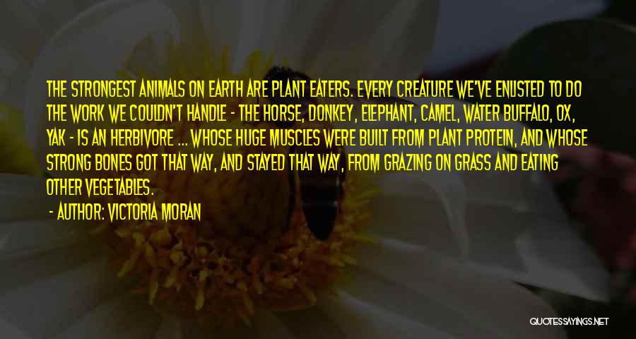 Victoria Moran Quotes: The Strongest Animals On Earth Are Plant Eaters. Every Creature We've Enlisted To Do The Work We Couldn't Handle -