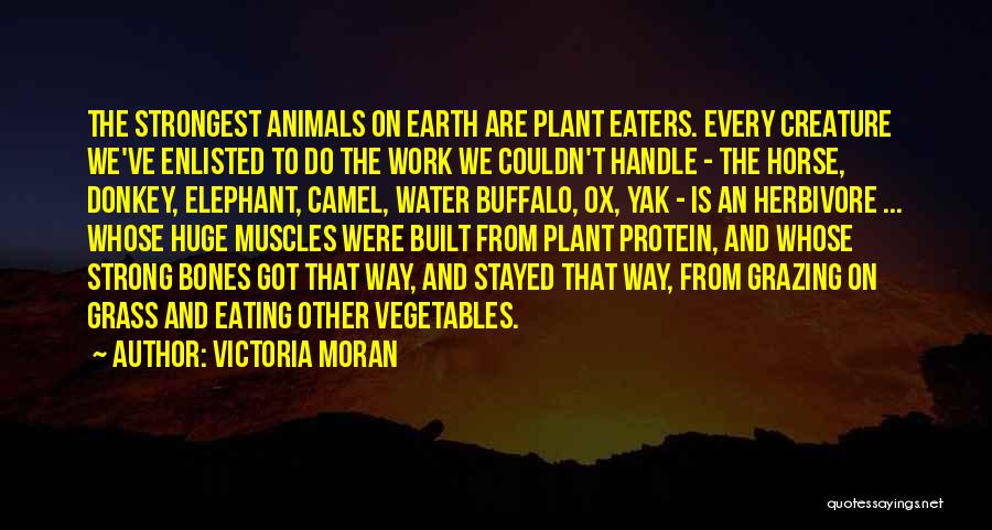 Victoria Moran Quotes: The Strongest Animals On Earth Are Plant Eaters. Every Creature We've Enlisted To Do The Work We Couldn't Handle -