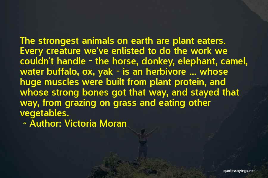 Victoria Moran Quotes: The Strongest Animals On Earth Are Plant Eaters. Every Creature We've Enlisted To Do The Work We Couldn't Handle -