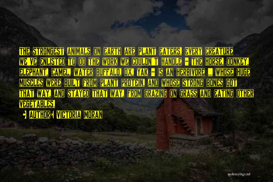 Victoria Moran Quotes: The Strongest Animals On Earth Are Plant Eaters. Every Creature We've Enlisted To Do The Work We Couldn't Handle -