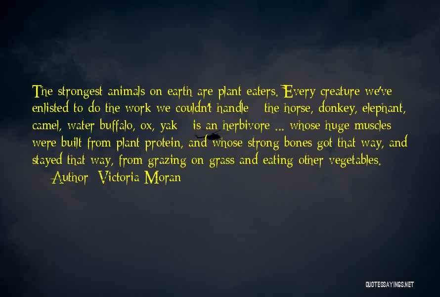 Victoria Moran Quotes: The Strongest Animals On Earth Are Plant Eaters. Every Creature We've Enlisted To Do The Work We Couldn't Handle -