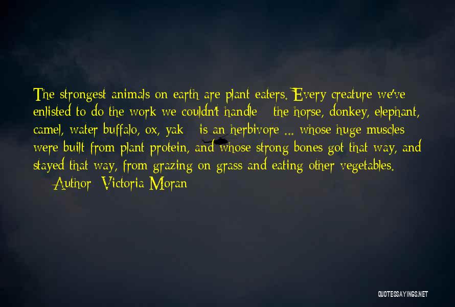 Victoria Moran Quotes: The Strongest Animals On Earth Are Plant Eaters. Every Creature We've Enlisted To Do The Work We Couldn't Handle -