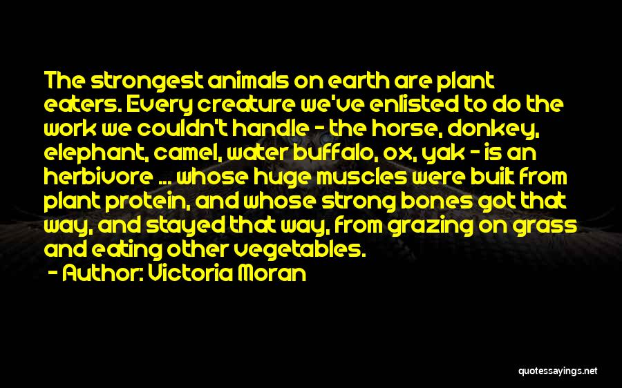 Victoria Moran Quotes: The Strongest Animals On Earth Are Plant Eaters. Every Creature We've Enlisted To Do The Work We Couldn't Handle -