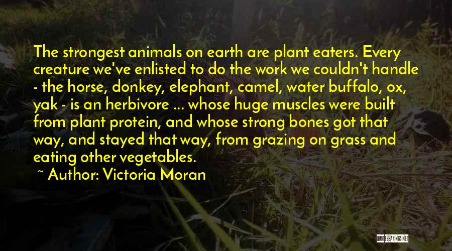 Victoria Moran Quotes: The Strongest Animals On Earth Are Plant Eaters. Every Creature We've Enlisted To Do The Work We Couldn't Handle -