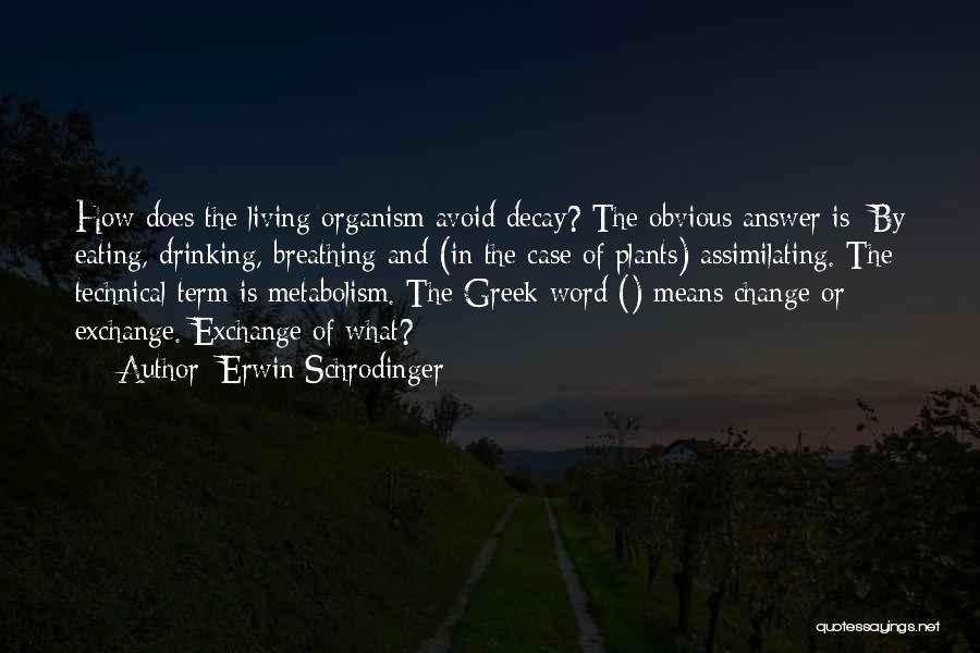 Erwin Schrodinger Quotes: How Does The Living Organism Avoid Decay? The Obvious Answer Is: By Eating, Drinking, Breathing And (in The Case Of