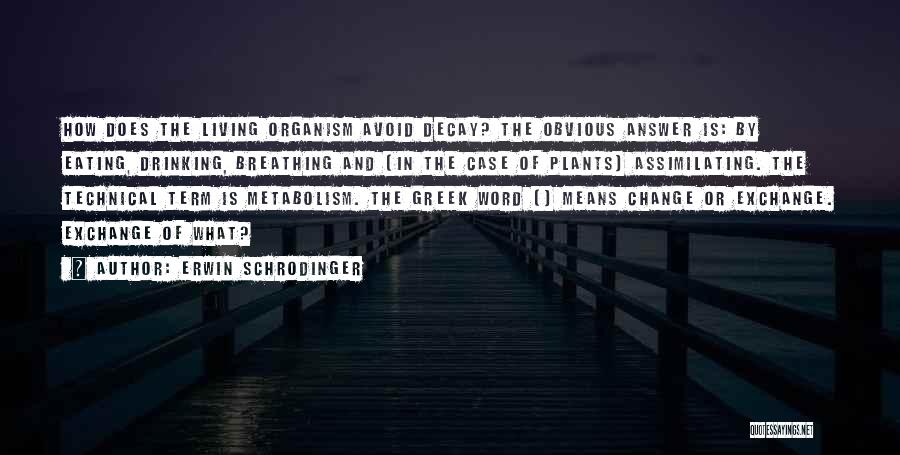 Erwin Schrodinger Quotes: How Does The Living Organism Avoid Decay? The Obvious Answer Is: By Eating, Drinking, Breathing And (in The Case Of