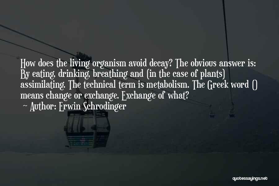 Erwin Schrodinger Quotes: How Does The Living Organism Avoid Decay? The Obvious Answer Is: By Eating, Drinking, Breathing And (in The Case Of