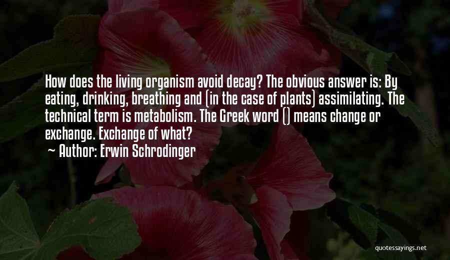 Erwin Schrodinger Quotes: How Does The Living Organism Avoid Decay? The Obvious Answer Is: By Eating, Drinking, Breathing And (in The Case Of