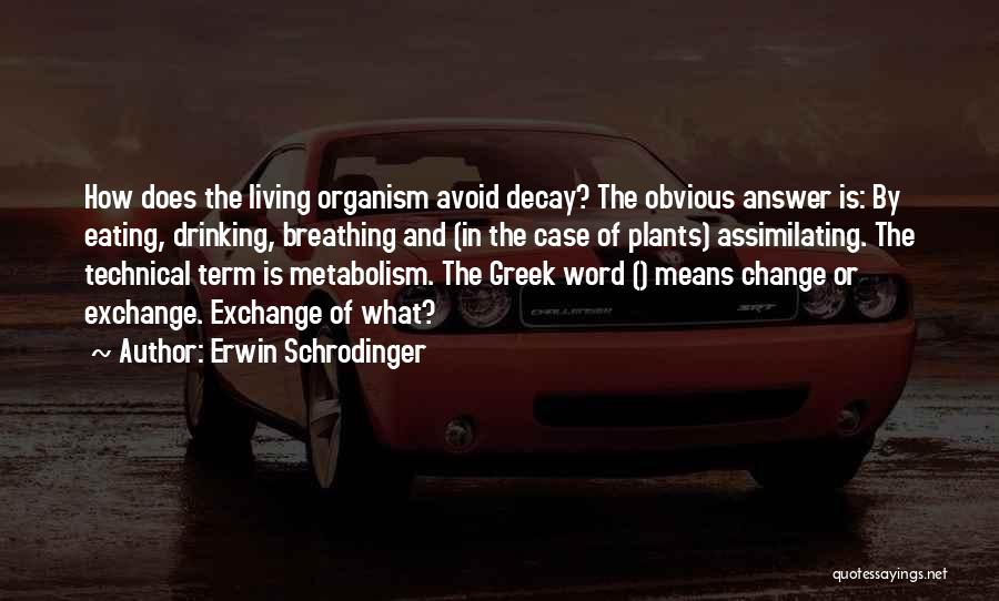 Erwin Schrodinger Quotes: How Does The Living Organism Avoid Decay? The Obvious Answer Is: By Eating, Drinking, Breathing And (in The Case Of