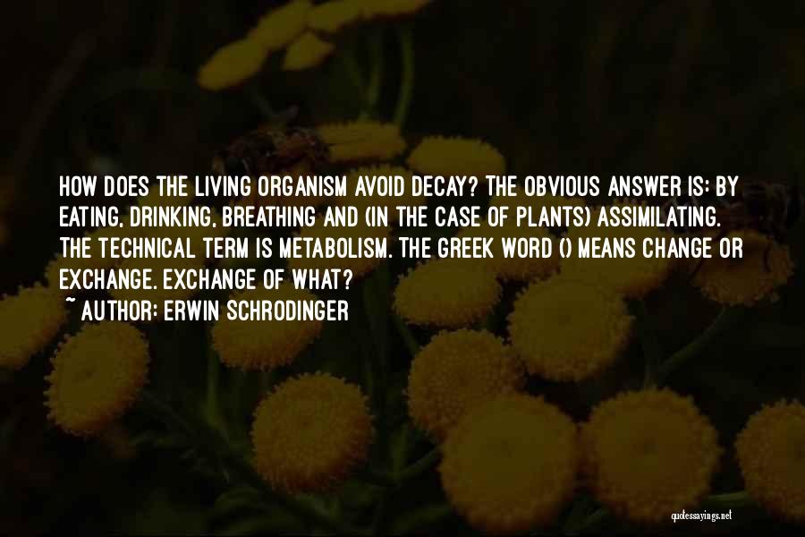 Erwin Schrodinger Quotes: How Does The Living Organism Avoid Decay? The Obvious Answer Is: By Eating, Drinking, Breathing And (in The Case Of