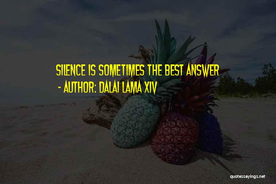 Dalai Lama XIV Quotes: Silence Is Sometimes The Best Answer