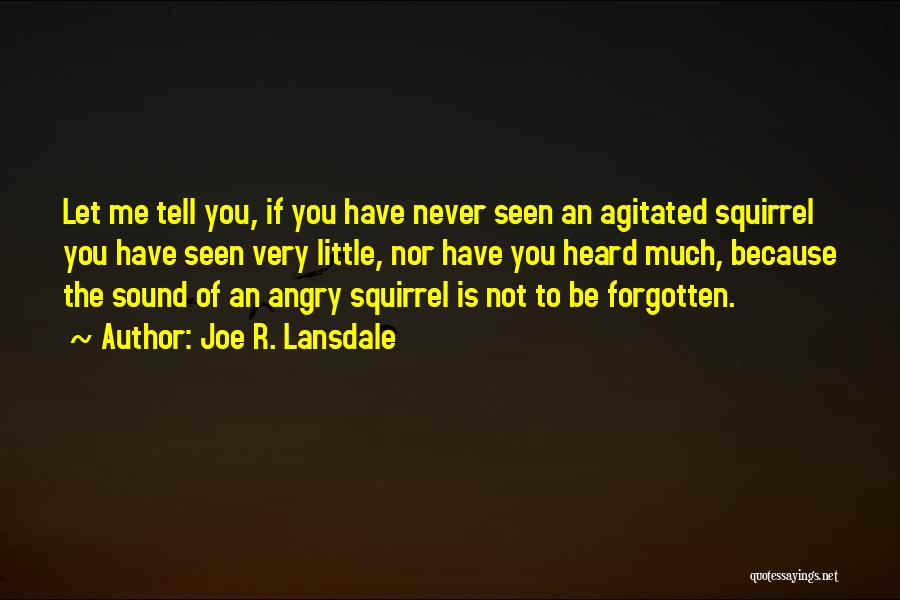 Joe R. Lansdale Quotes: Let Me Tell You, If You Have Never Seen An Agitated Squirrel You Have Seen Very Little, Nor Have You